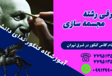 مجسمه سازی